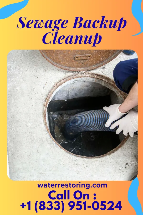 Sewage Backup Cleanup in Fort Indiantown Gap, PA