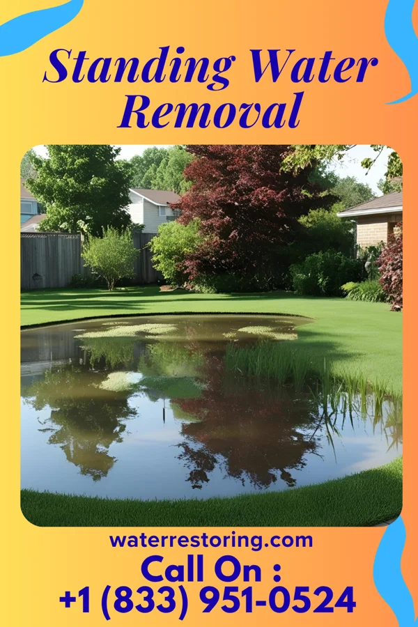 Standing Water Removal in Fort Indiantown Gap, PA